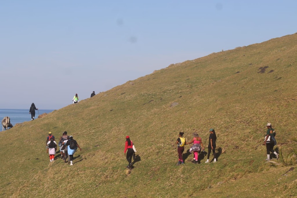 Hikers on a coastal hillside