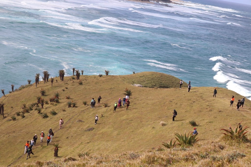 Large group outdoor event hike